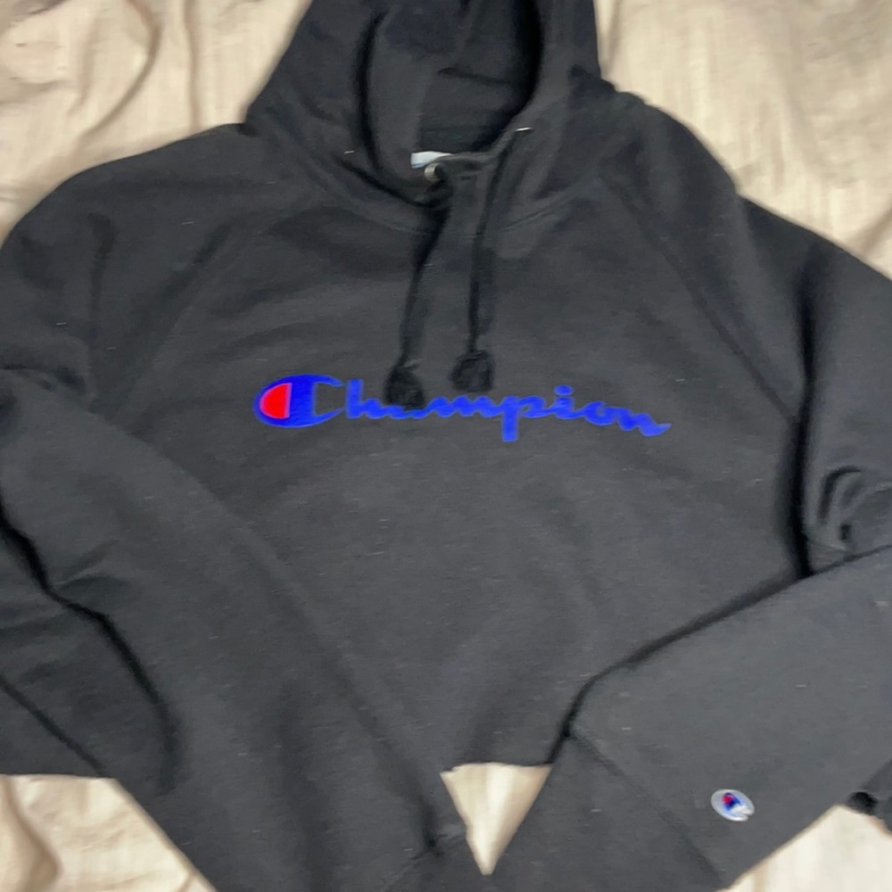 Champion cropped hoodie